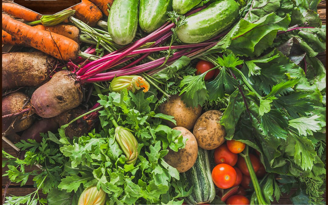 Helyi alapanyagok a Nádas Csárda konyhájában: Friss ízek Tiszaújvárosban